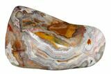 Polished Crazy Lace Agate - Mexico #180548-1